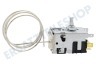 Gorenje Kühlschrank Thermostat 077B6532