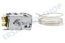 Gorenje Kühlschrank Thermostat 077B6532