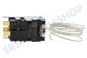 Gorenje Kühlschrank Thermostat 077B6532