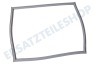 Samsung Kühlschrank DA63-04297D Dichtungsgummi Gefrierteil