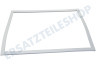 Samsung Kühlschrank DA97-19053G Dichtungsgummi Gefrierteil