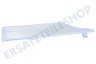 Samsung Kühlschrank DA67-04253A Glasplatte R54000K