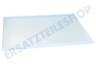 Samsung Kühlschrank DA97-13502D Glasplatte Glasablage