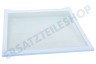 Samsung Kühlschrank DA97-16729A Glasplatte, Mitte