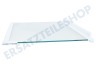 Marijnen Kühlschrank Glasplatte 475x310mm mit Schutzrand