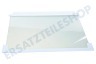 Marijnen Kühlschrank Glasplatte 475x310mm mit Schutzrand