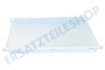 Zanussi Kühlschrank Glasablage