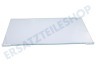 Electrolux Kühlschrank 2109403036 Glasablage