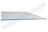 Electrolux Kühlschrank 2109403036 Glasablage