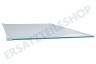 Electrolux Kühlschrank 2109403036 Glasablage