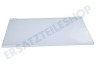Electrolux Kühlschrank 2109403036 Glasablage