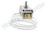 Alno Kühlschrank Thermostat K 59-L 1234