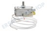 Alno Kühlschrank Thermostat K 59-L 1234