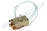 Alno Kühlschrank Thermostat K57 L5807