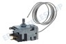 Elektro helios Kühlschrank Thermostat Danfoss 077B5224 0332