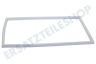Dometic Kühlschrank 292261300 Gummidichtung, Weiß