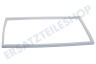 Dometic Kühlschrank 292261300 Gummidichtung, Weiß