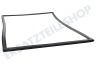 Dometic Kühlschrank 241301033 Dichtungsgummi Schwarz