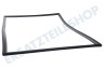Dometic Kühlschrank 241301033 Dichtungsgummi Schwarz