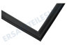 Dometic Kühlschrank 241301003 Dichtungsgummi Schwarz