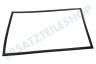 Dometic Kühlschrank 241301003 Dichtungsgummi Schwarz