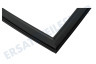 Dometic Kühlschrank 241301003 Dichtungsgummi Schwarz