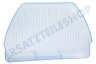Dometic Kühlschrank Gemüsefach Frischer Lebensmittelbehälter, transparentes Blau