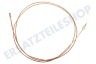 Sibir (n-sr) Kühlschrank Thermisches Element 2100mm