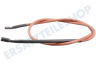 Electrolux Kühlschrank Funkentzündung-Kabel