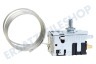 Electrolux Kühlschrank elektrisches Thermostat