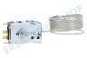 Electrolux Kühlschrank elektrisches Thermostat