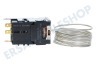 Electrolux Kühlschrank elektrisches Thermostat