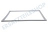 LG Kühlschrank ADX73590902 Türgummi Kühlschrank