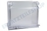 LG Kühlschrank AJP75574516 Gemüseschublade Big Fresh Zone