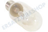 LG Kühlschrank Lampe E14, 30 W