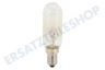 LG Kühlschrank Lampe E14, 30 W