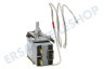 Inventum Kühlschrank Thermostat 3 Kontakte Kapillarlänge 50cm