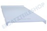 Haier Kühlschrank 0060222060A Abdeckplatte der Beleuchtung hinten