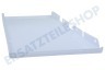 Haier Kühlschrank 0060222060A Abdeckplatte der Beleuchtung hinten