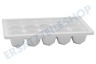 Haier Kühlschrank 0060206805 Eiswürfelbehälter