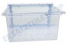 Haier Kühlschrank Gemüseschublade Gemüseschale
