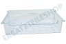 Haier Kühlschrank 0060206473 Schublade Kühlteil