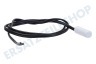 Haier Kühlschrank 0064000025 Fühler Temperatursensor Gefrierschrank
