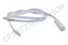 Haier Kühlschrank 0064000024 Temperatursensor