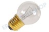 Arthur martin Glühlampe 230V 40W E27