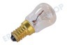 Marijnen Kühlschrank Glühlampe 230V 25W E14