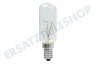 Universell Dunstabzugshaube Lampe