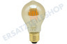 Calex 1001003200 LED Standard A60 Gold Flex Filament E27 5,5 Watt