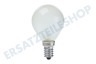 Calex 407602 Calex Kugel-Nachtlampe 240V 10W 50lm E14 matt