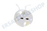 Universell Lampenfassung Halogen weiß